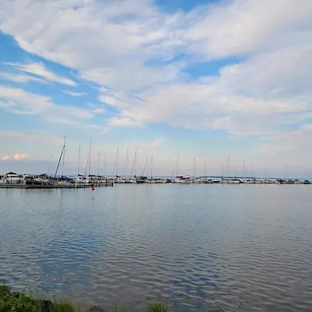 7 Person In Hejls-by Traum * Hejls